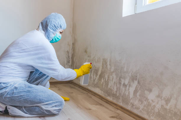 Licensed Commercial Mold Remediation service in College Park, MD - WQB Mold Removal