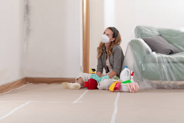 Reliable Commercial Mold Remediation contractor in College Park, MD by WQB Mold Removal